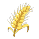 Seigle